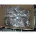 Best Price Frozen Gutted Black Tilapia For Marketing